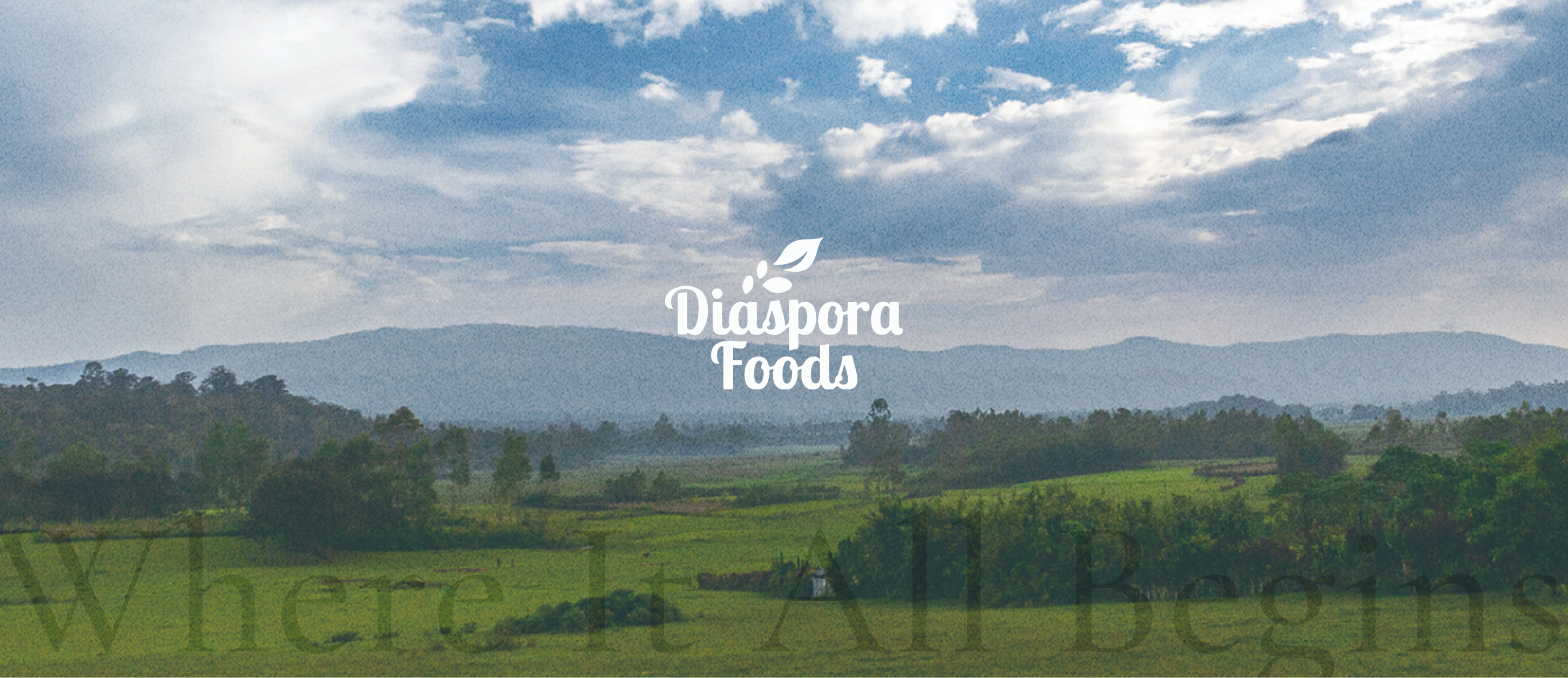 Diaspora Foods